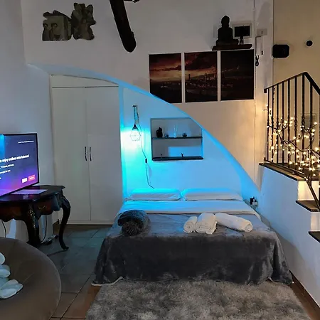 Medici In Apartment Florence