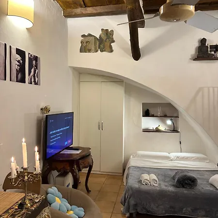 Apartment Medici In